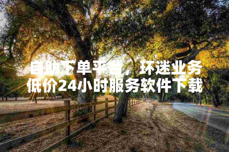 自助下单平台，环迷业务低价24小时服务软件下载。