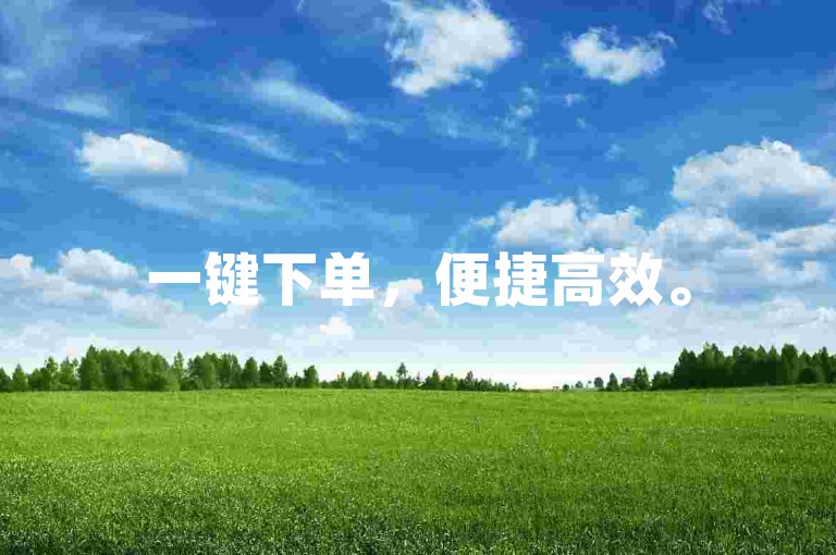 一键下单，便捷高效。