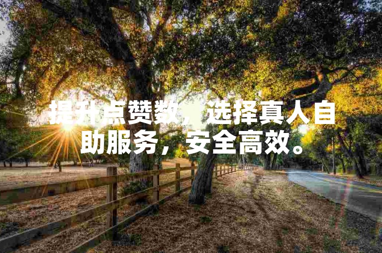 提升点赞数，选择真人自助服务，安全高效。