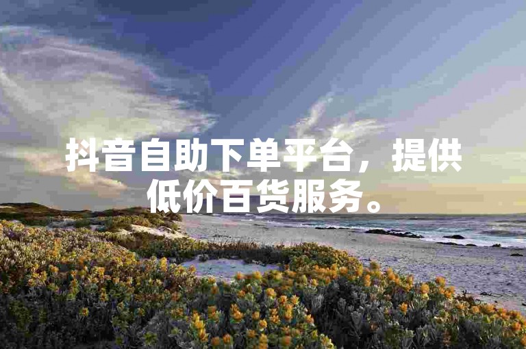 抖音自助下单平台，提供低价百货服务。