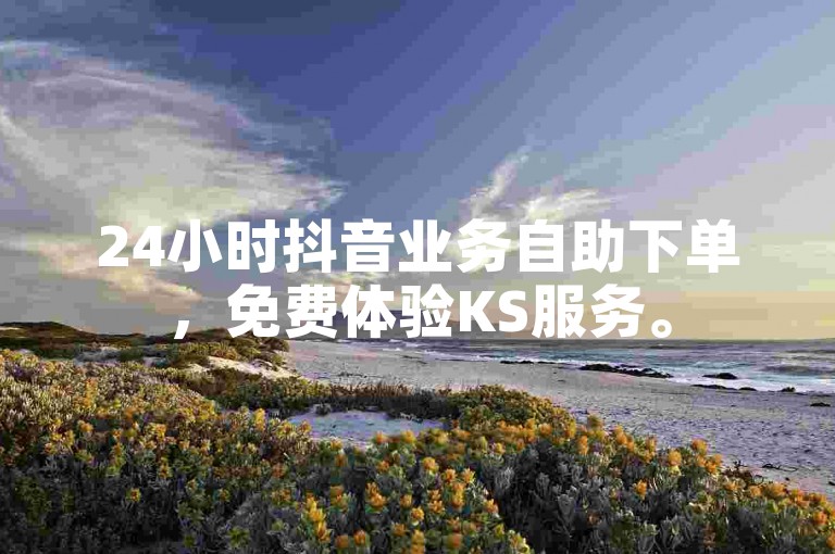 24小时抖音业务自助下单，免费体验KS服务。