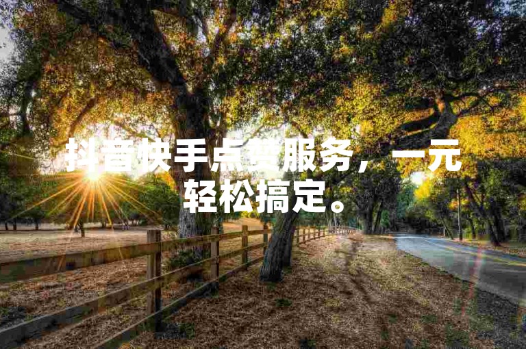抖音快手点赞服务，一元轻松搞定。