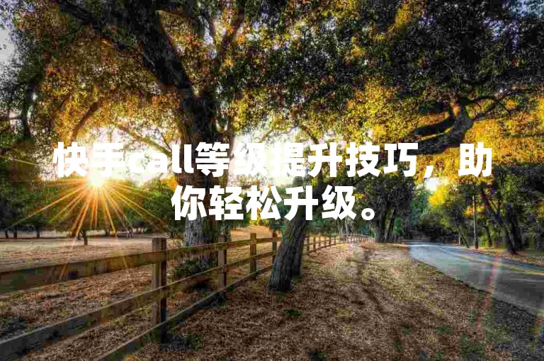 快手call等级提升技巧，助你轻松升级。