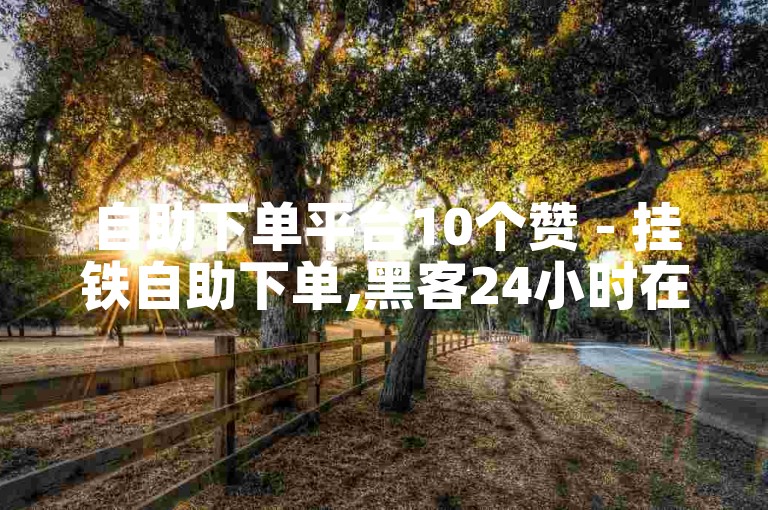 自助下单平台10个赞 - 挂铁自助下单,黑客24小时在线接单网站 - 低价自助下单平台