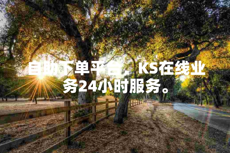 自助下单平台，KS在线业务24小时服务。