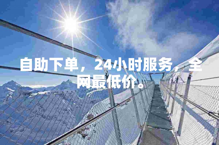 自助下单，24小时服务，全网最低价。