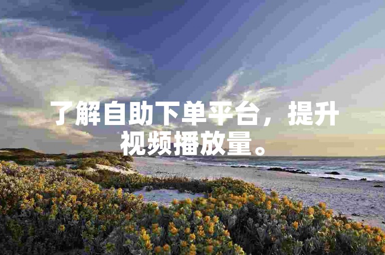 了解自助下单平台，提升视频播放量。