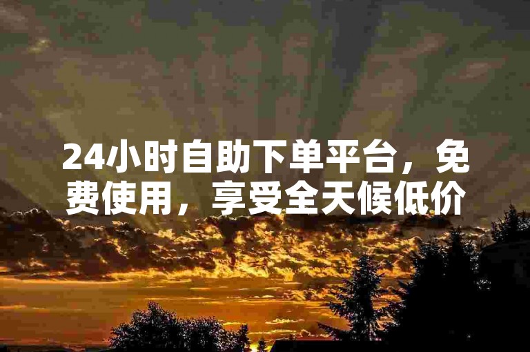 24小时自助下单平台，免费使用，享受全天候低价服务。