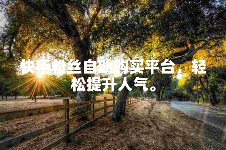 快手粉丝自助购买平台，轻松提升人气。