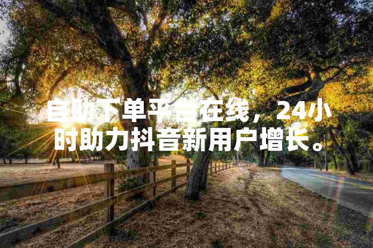自助下单平台在线，24小时助力抖音新用户增长。
