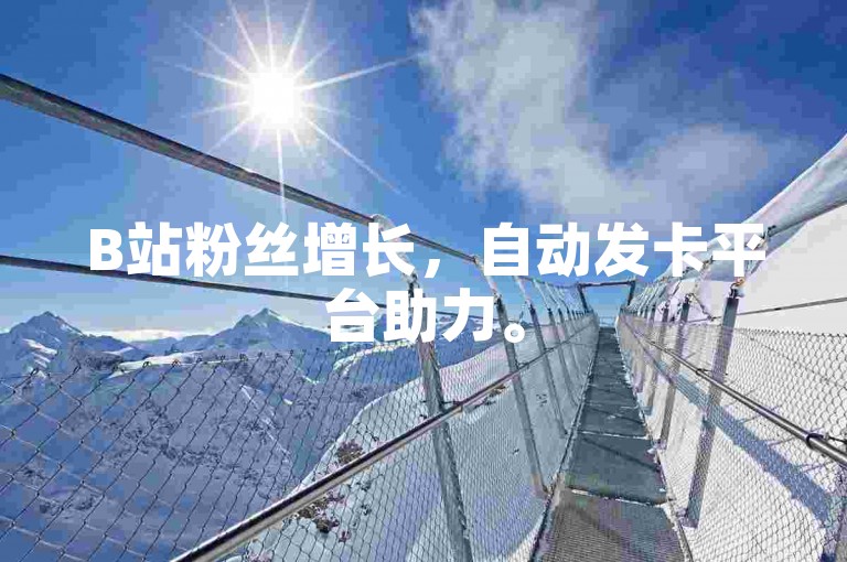 B站粉丝增长，自动发卡平台助力。