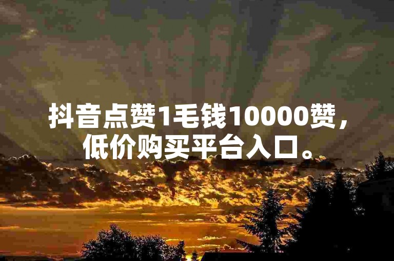抖音点赞1毛钱10000赞，低价购买平台入口。
