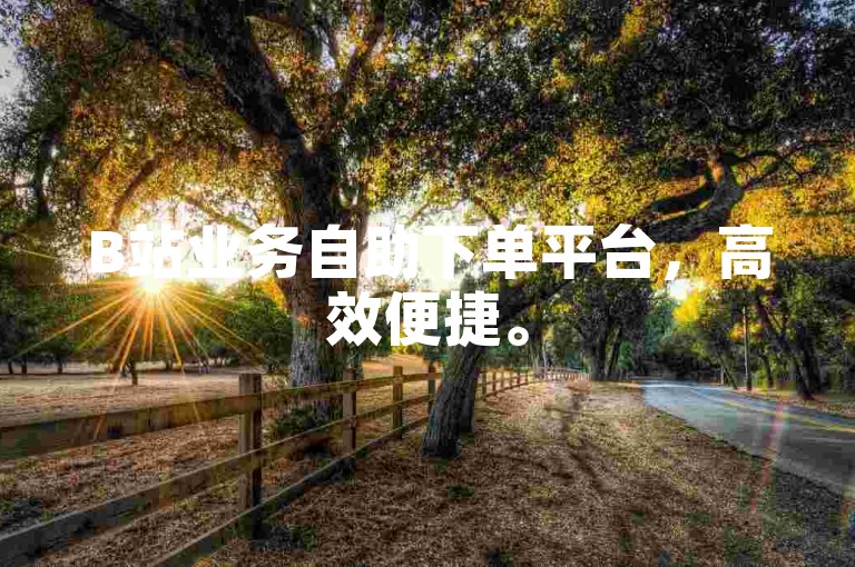 B站业务自助下单平台，高效便捷。
