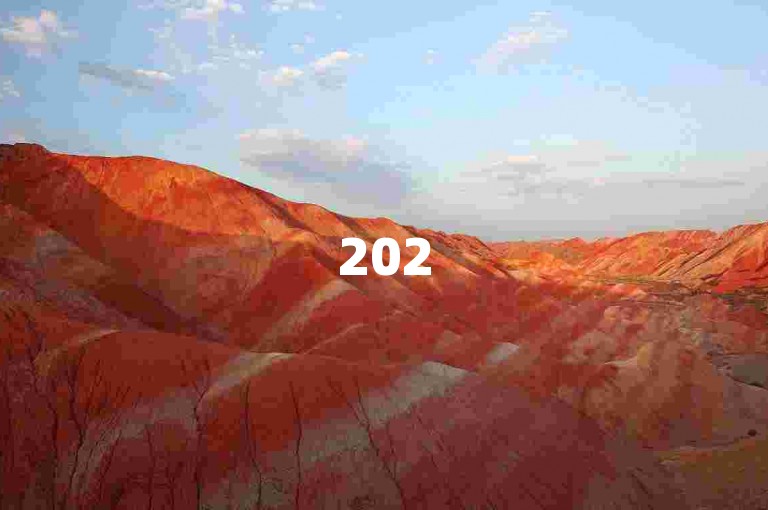 2025必备，揭秘抖音业务在线自助平台，低价高效！