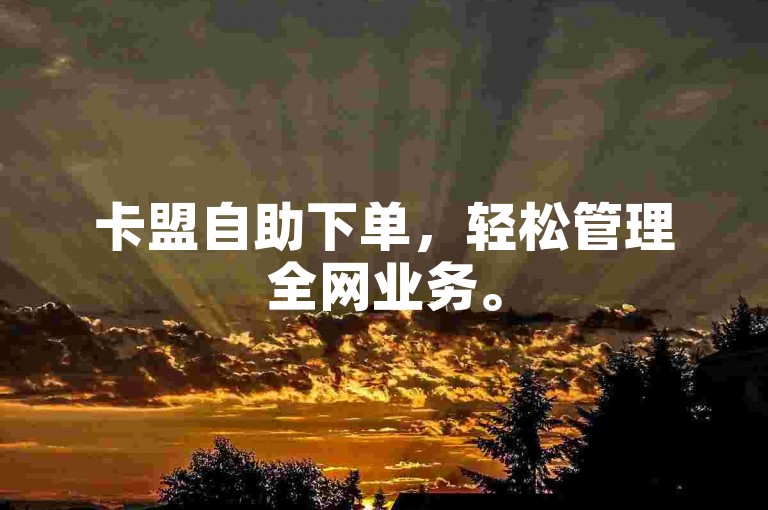 卡盟自助下单，轻松管理全网业务。