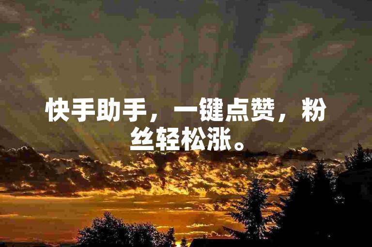 快手助手，一键点赞，粉丝轻松涨。