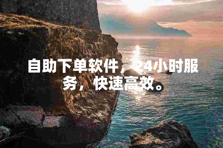 自助下单软件，24小时服务，快速高效。