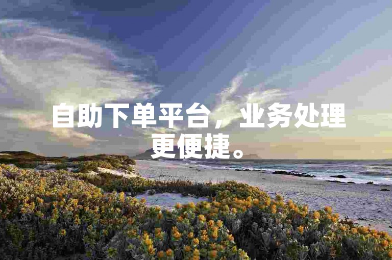 自助下单平台，业务处理更便捷。