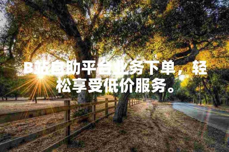 B站自助平台业务下单，轻松享受低价服务。