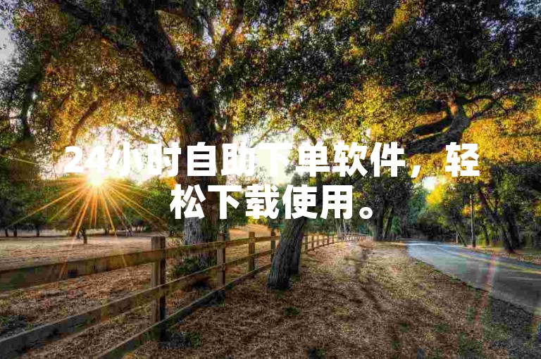24小时自助下单软件，轻松下载使用。