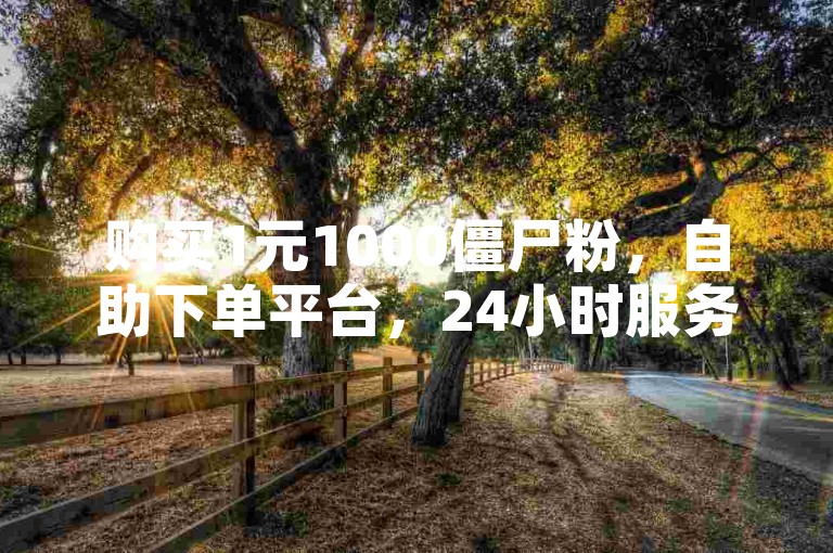 购买1元1000僵尸粉，自助下单平台，24小时服务。