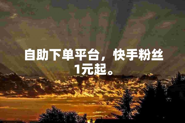自助下单平台，快手粉丝1元起。
