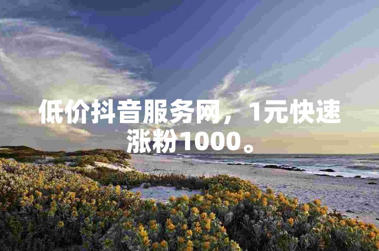 低价抖音服务网，1元快速涨粉1000。