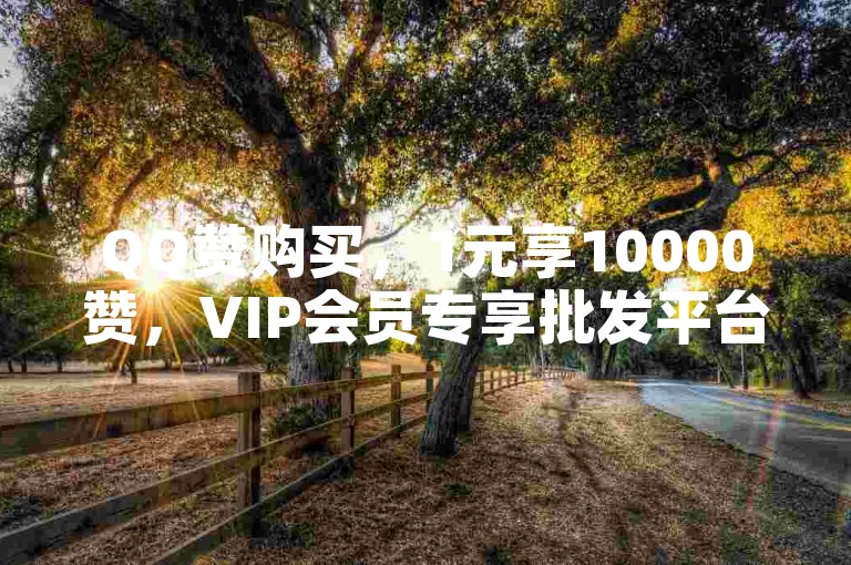 QQ赞购买，1元享10000赞，VIP会员专享批发平台。