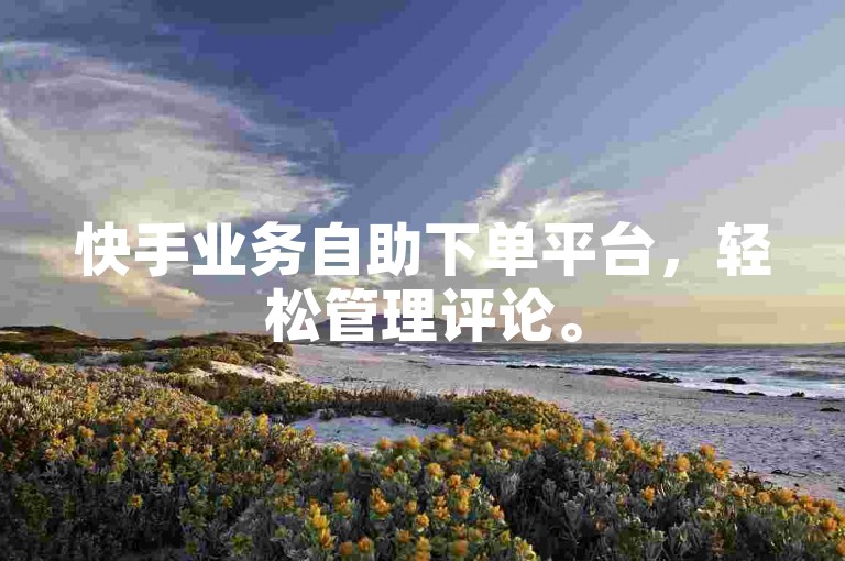 快手业务自助下单平台，轻松管理评论。