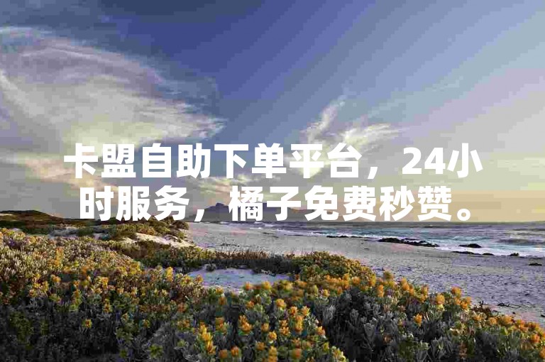卡盟自助下单平台，24小时服务，橘子免费秒赞。
