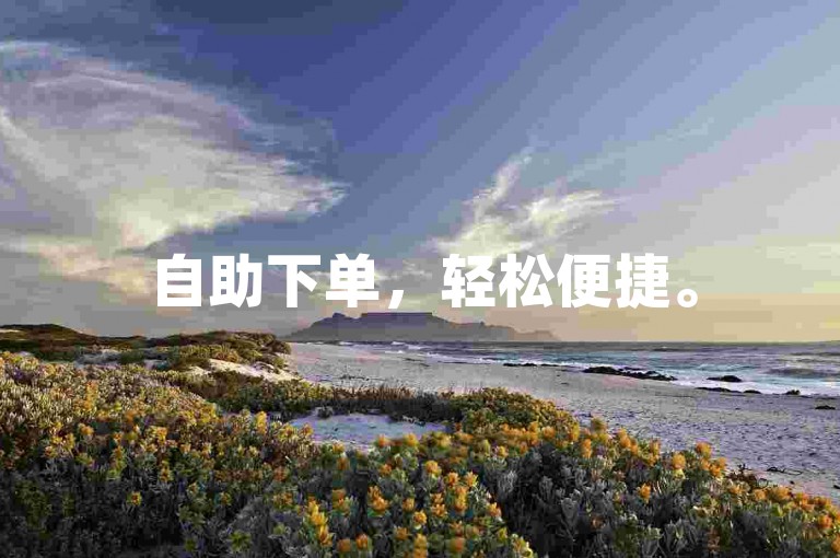 自助下单，轻松便捷。