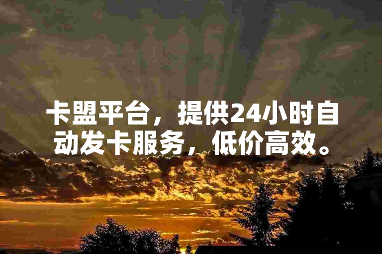 卡盟平台，提供24小时自动发卡服务，低价高效。