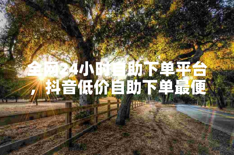 全网24小时自助下单平台，抖音低价自助下单最便宜。