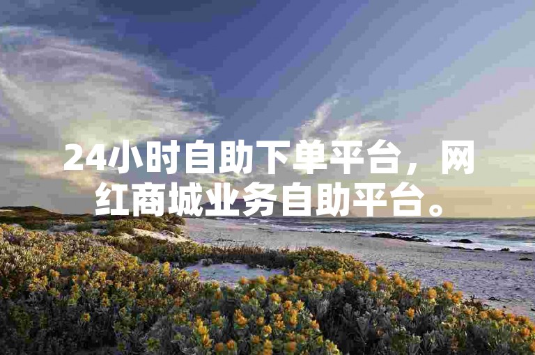 24小时自助下单平台，网红商城业务自助平台。