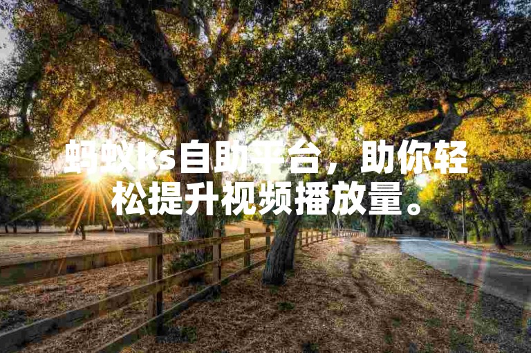 蚂蚁ks自助平台，助你轻松提升视频播放量。