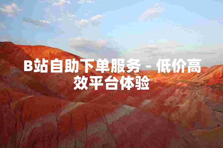 B站自助下单服务 - 低价高效平台体验
