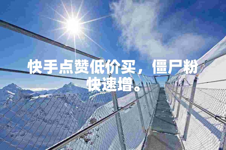 快手点赞低价买，僵尸粉快速增。