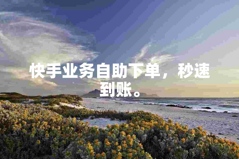 快手业务自助下单，秒速到账。