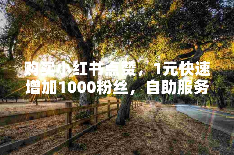 购买小红书点赞，1元快速增加1000粉丝，自助服务全天在线。