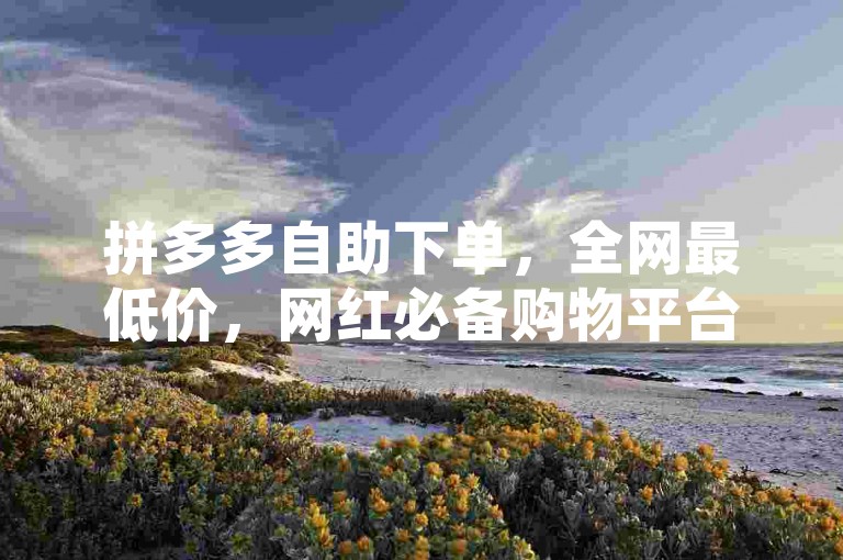 拼多多自助下单，全网最低价，网红必备购物平台。