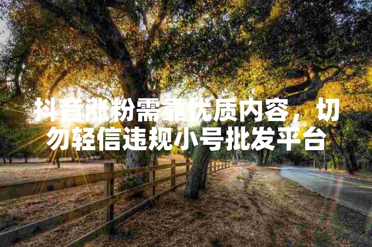 抖音涨粉需靠优质内容，切勿轻信违规小号批发平台。
