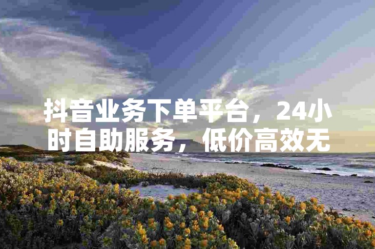 抖音业务下单平台，24小时自助服务，低价高效无违规。