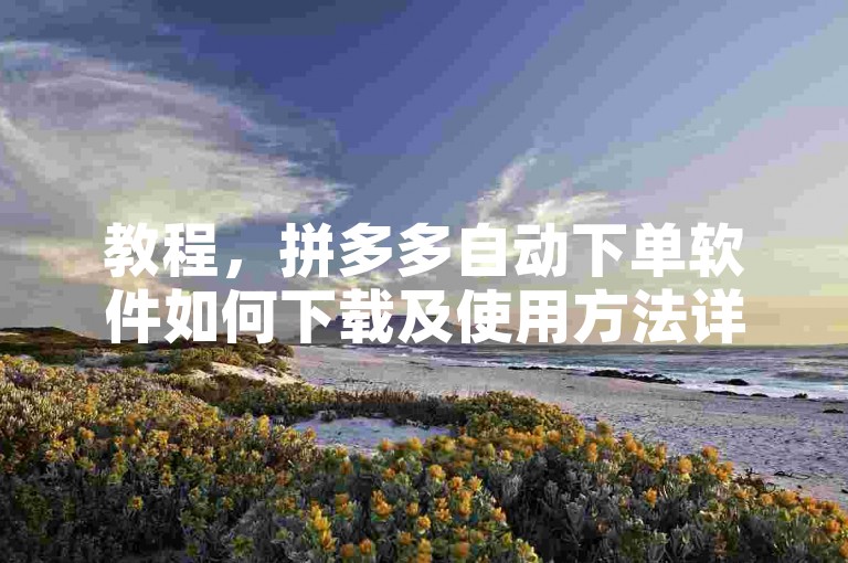 教程，拼多多自动下单软件如何下载及使用方法详解