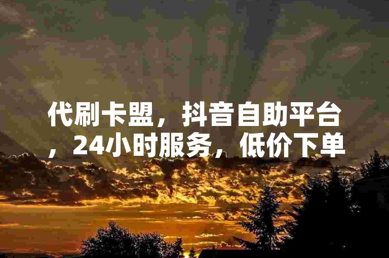 代刷卡盟，抖音自助平台，24小时服务，低价下单享优势。