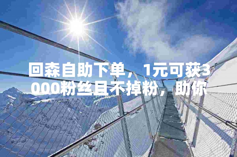 回森自助下单，1元可获3000粉丝且不掉粉，助你快速涨粉。