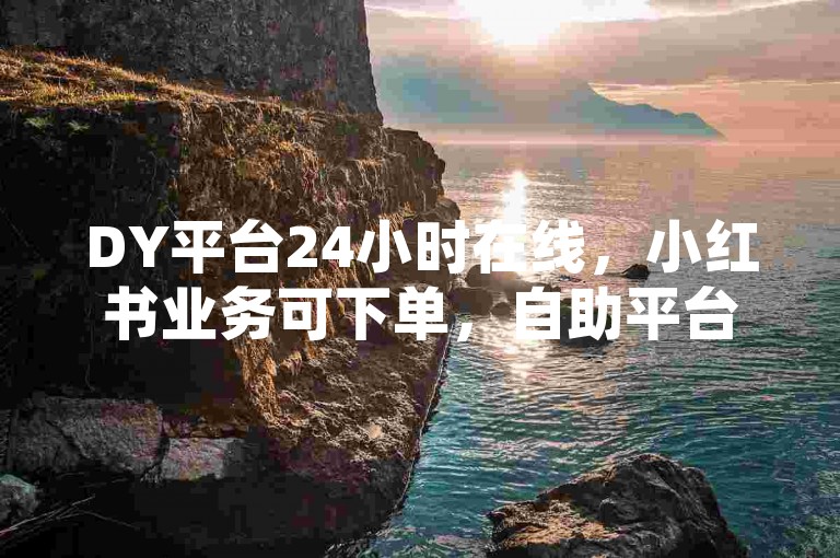 DY平台24小时在线，小红书业务可下单，自助平台实惠便捷。