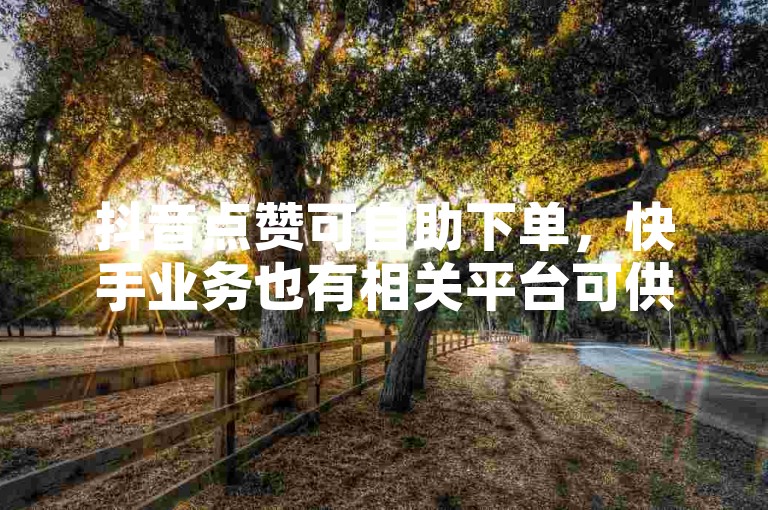 抖音点赞可自助下单，快手业务也有相关平台可供选择。