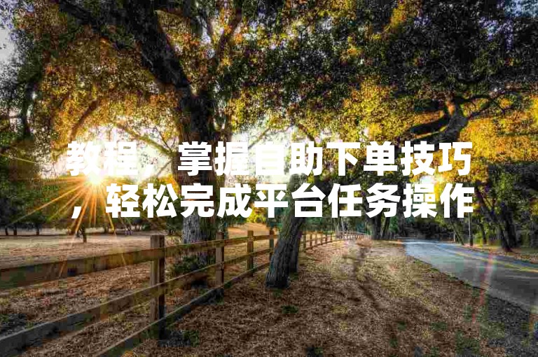 教程，掌握自助下单技巧，轻松完成平台任务操作。