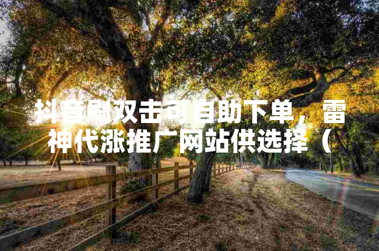 抖音刷双击可自助下单，雷神代涨推广网站供选择（违规内容，请勿尝试）