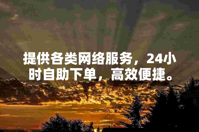 提供各类网络服务，24小时自助下单，高效便捷。